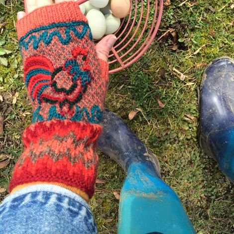 Colorwork and Chooks come together in perfect harmony