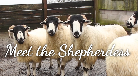 Meet the Shepherdess